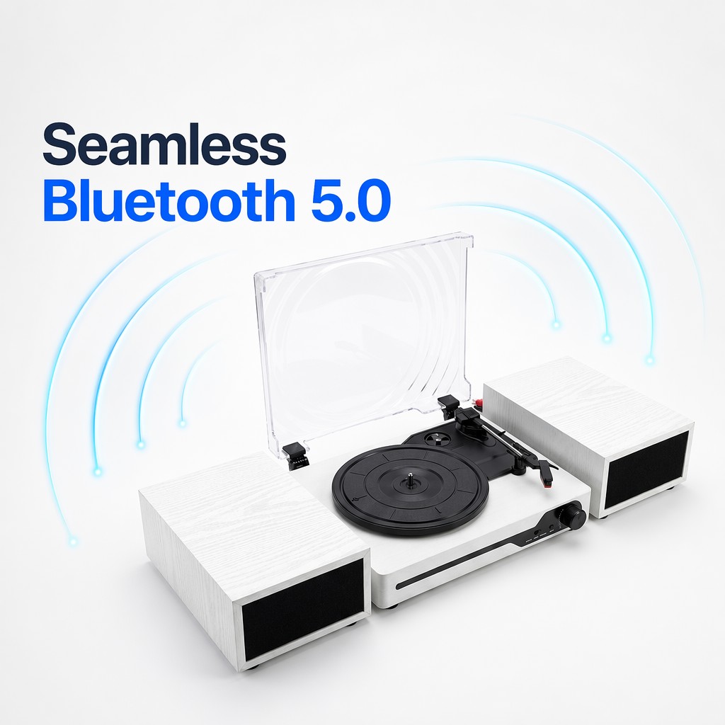 Regalo de Lujo para Amantes de - Audio And Music Separate reseña y precio